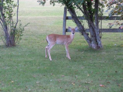 21457860_1425229480928516_6124985175537369249_o