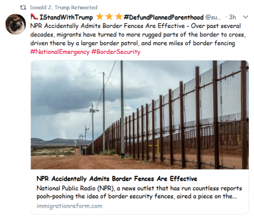 BORDER WALL EFFECTIVE