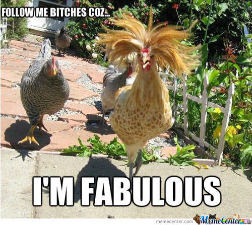 11:29:09 GMT-0500 (EST).image