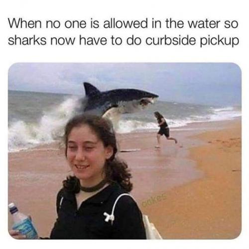 126521156_10159248318622044_8362900271478179758_n