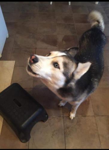 01:58:37 GMT-0600 (CST)