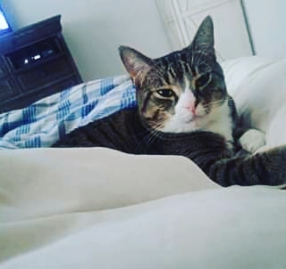 IMG_20201027_090156_893