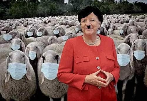 123310307_234209974953131_3287355846101809123_n