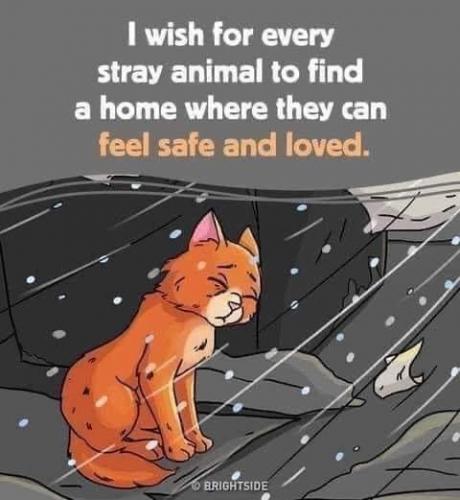 08:26:05 GMT-0500 (EST).image