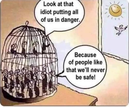 126319657_131143655465466_7960911694538839507_n