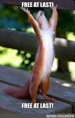 0b314d9b798fe63296d667f665cccc9c