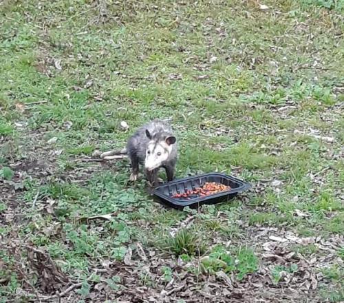 20:28:41 GMT-0600 (CST)