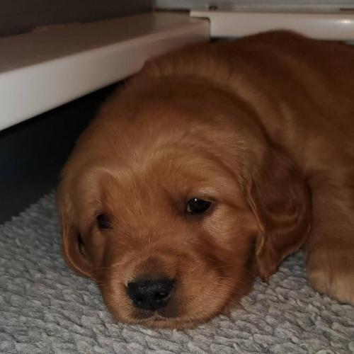 15:14:33 GMT-0500 (EST)