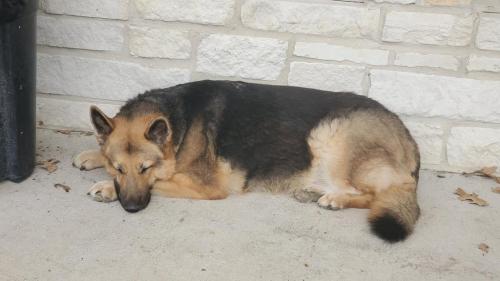 14:01:44 GMT-0600 (CST)