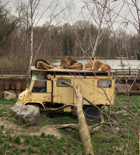 06:51:41 GMT+0100 (WAT).image