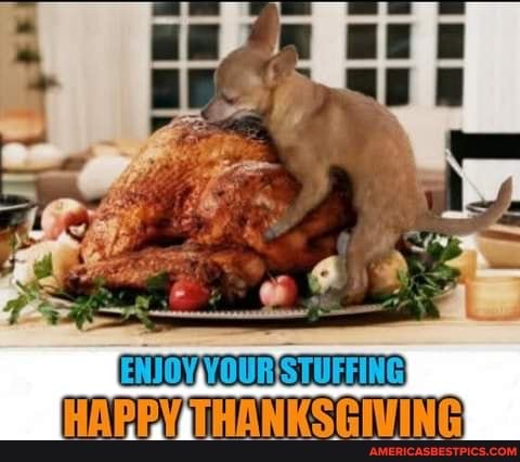 03:15:20 GMT-0600 (CST).image