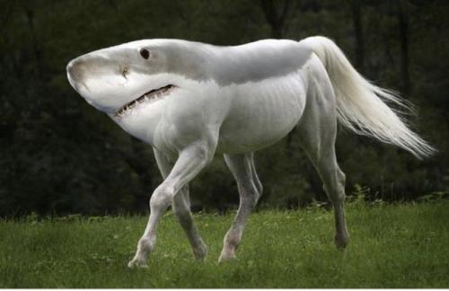 23:29:01 GMT-0800 (PST).image