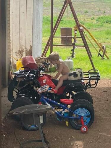 08:49:29 GMT-0600 (CST)