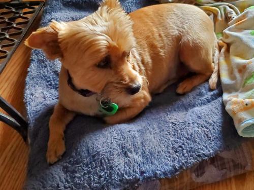 16:36:47 GMT-0800 (PST)