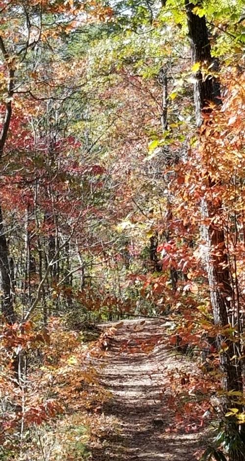 21:27:02 GMT-0500 (EST)