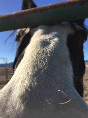 17:24:15 GMT-0800 (PST).image