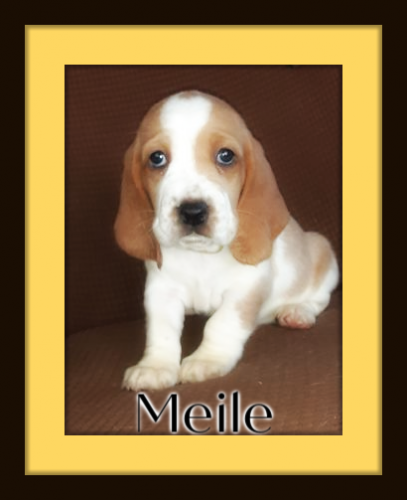 120552477-1774810366006870-8456883842978390849-n