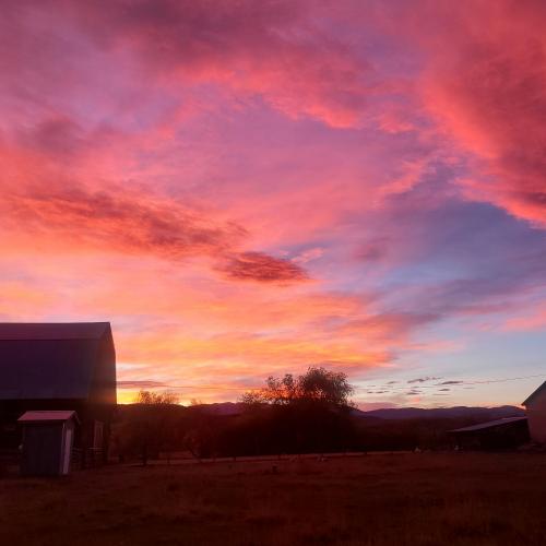 11:02:34 GMT-0700 (MST)