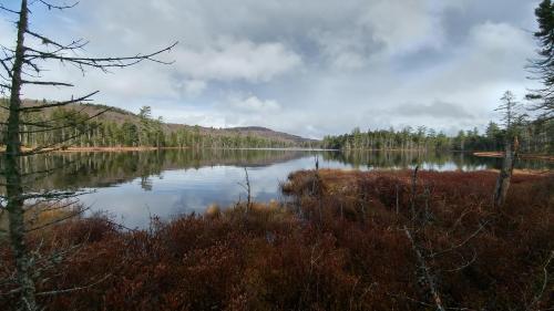 21:47:17 GMT-0500 (EST)