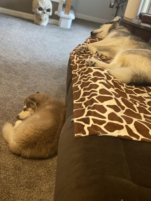 07:59:04 GMT-0500 (EST).image