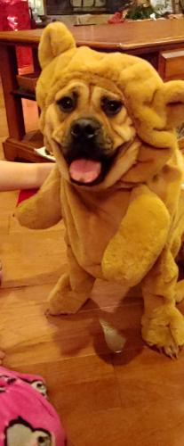 11:05:39 GMT-0500 (EST)