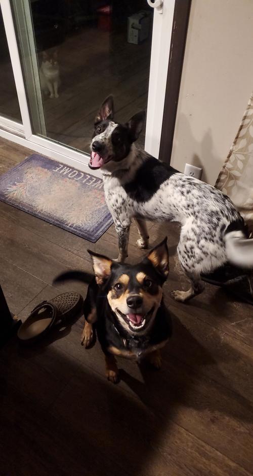 13:39:15 GMT-0500 (EST)