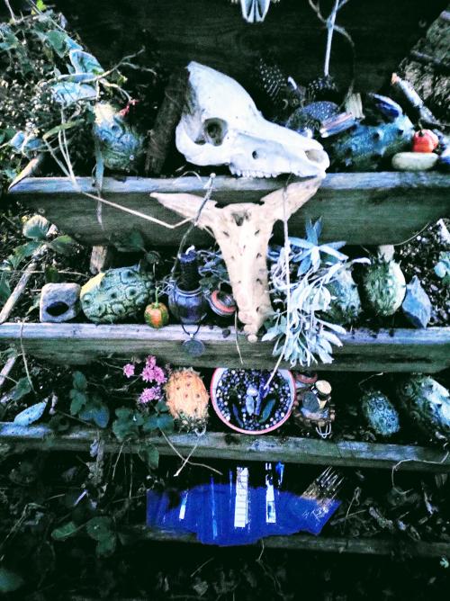 inbound6718301665481938980