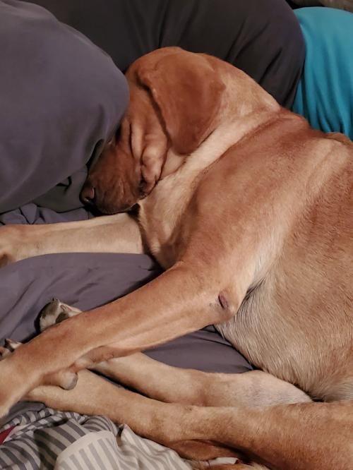 20:24:35 GMT-0800 (PST)