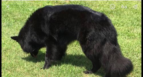 18:46:52 GMT-0500 (EST).image