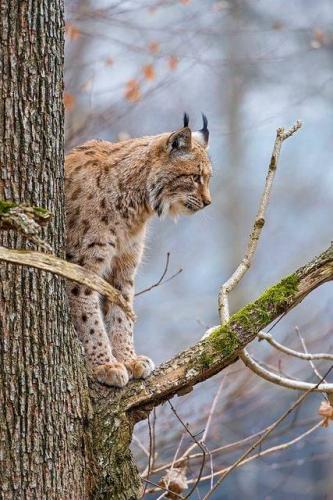 124170927_3778860112148803_6301038509301536921_n