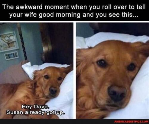 02:33:27 GMT-0600 (CST).image