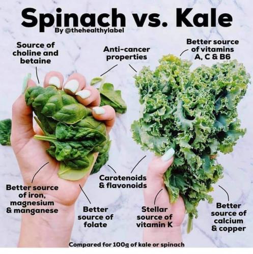 18:31:53 GMT-0700 (MST)