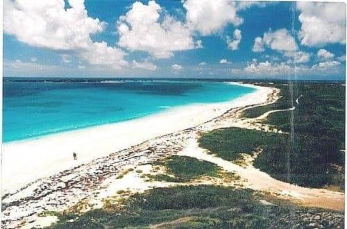 12:28:52 GMT-0500 (EST).image