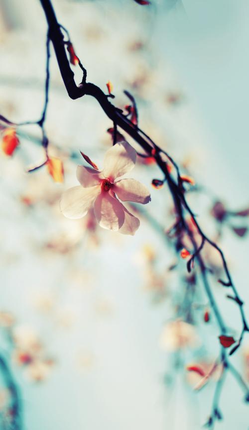 19:58:54 GMT-0600 (CST).image