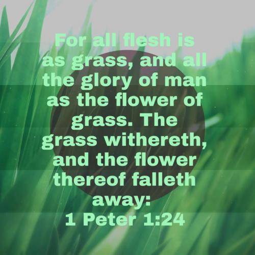 08:49:54 GMT-0600 (CST)