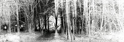 25440068_153525095413127_36207446726409843_o_153525095413127