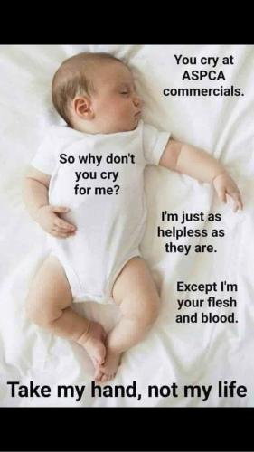 17:40:42 GMT-0600 (CST)