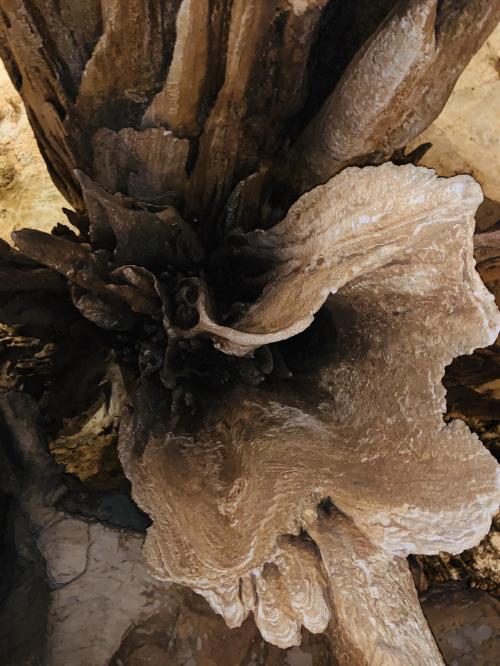 F575EC64-CE2D-4A7C-925F-CB7E39B410FF