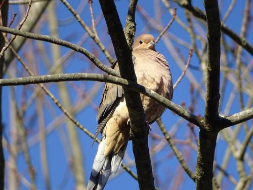 18:00:40 GMT-0500 (EST).image