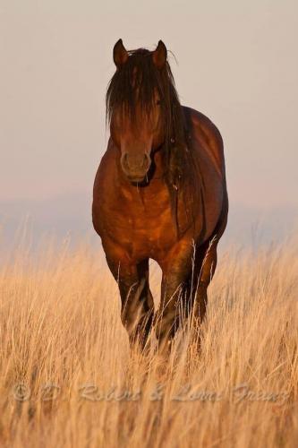 125315608_364748434604434_5430730590489545454_n