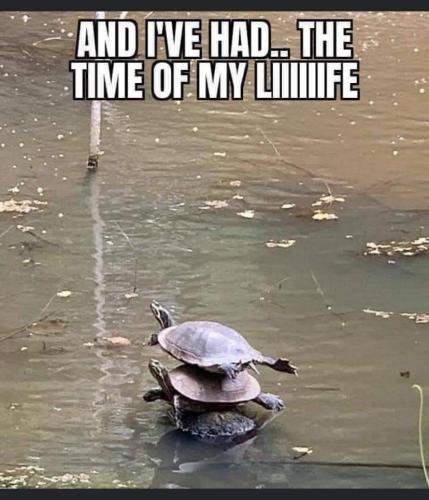 16:18:39 GMT-0500 (EST)