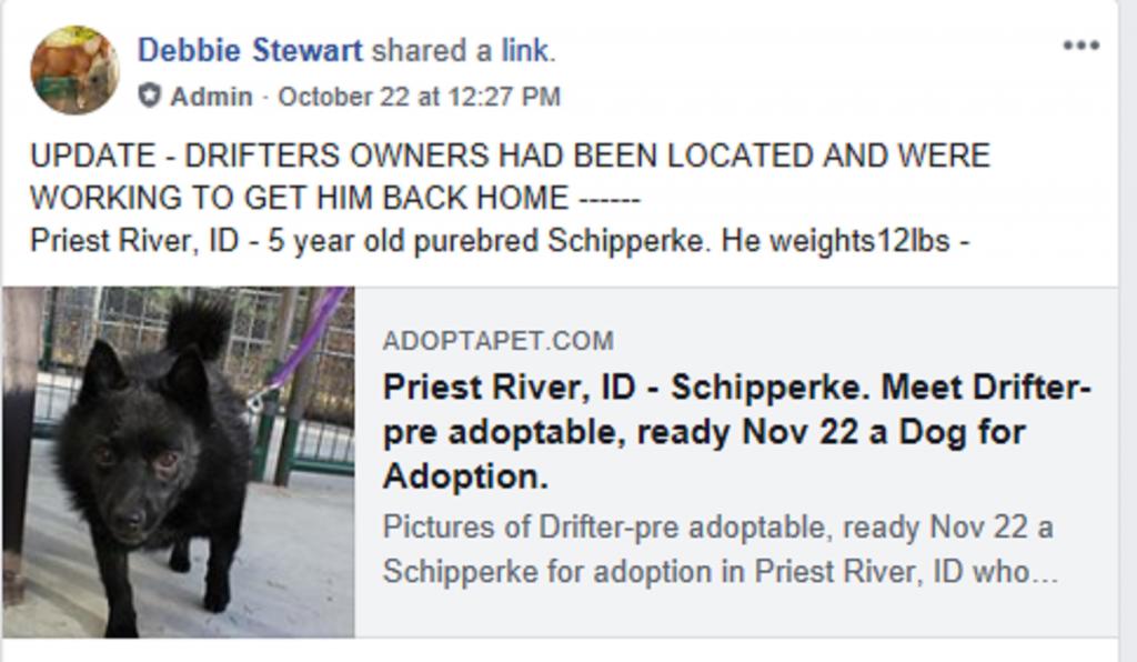 Drifter for adoption