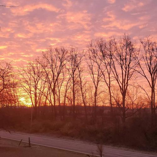 07:34:31 GMT-0500 (EST)