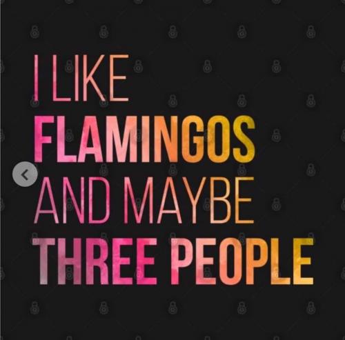 19:38:46 GMT-0600 (CST)