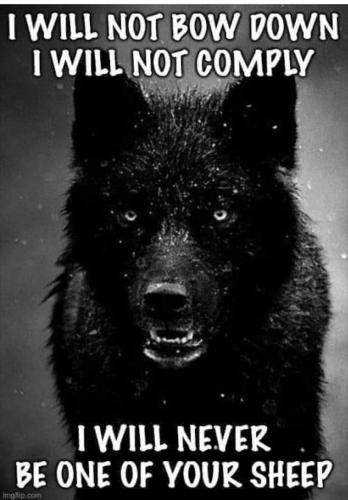 20:17:51 GMT-0500 (EST).image