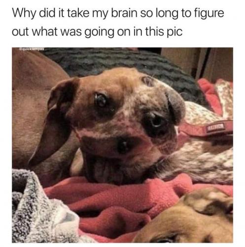 09:55:03 GMT-0500 (EST)