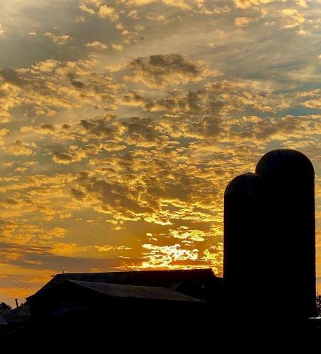 12:55:03 GMT-0500 (EST).image