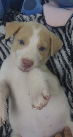 10:57:57 GMT+0100 (WAT)