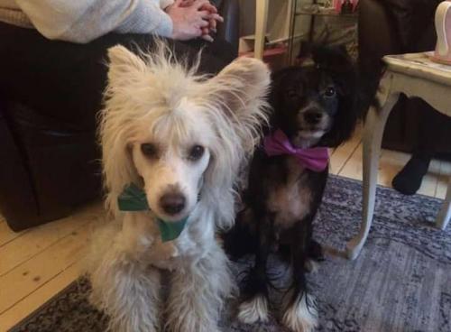 19:05:10 GMT+0100 (WAT).image