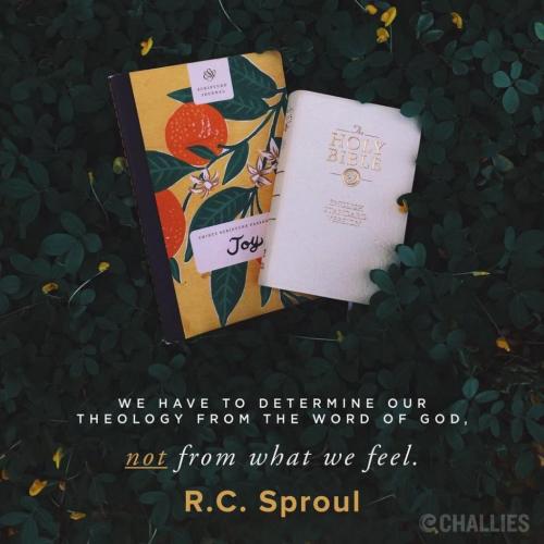 2018-09-04 13.00.25 1861130155881127601_5403409862